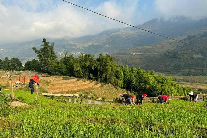 From Ha Noi: 3 Days and 2 Nights Sapa Trek with Local Guide - Authentic Experiences and Genuine Interactions