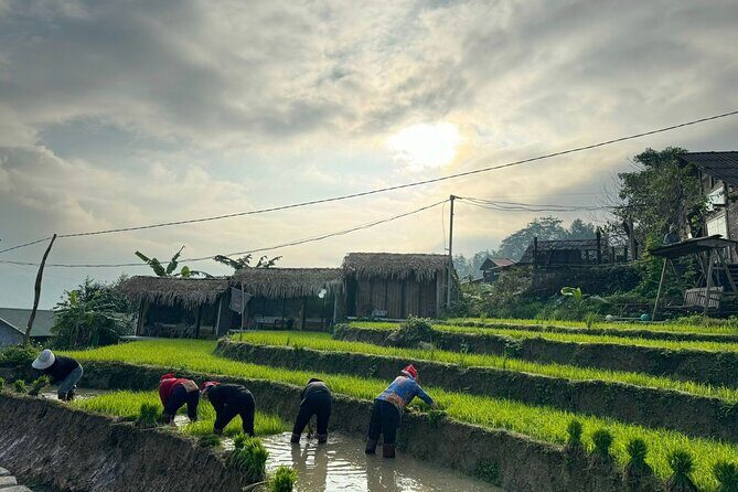 From Ha Noi: 3 Days and 2 Nights Sapa Trek with Local Guide - Potential Drawbacks