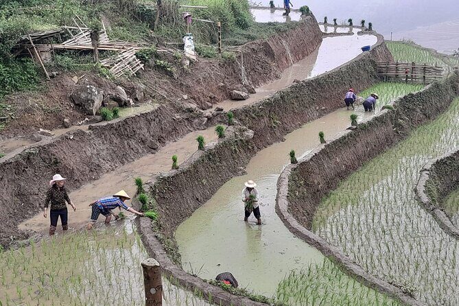 From Ha Noi: Sapa Trekking & Ha Giang Loop motorbike tour 6Days - FAQ