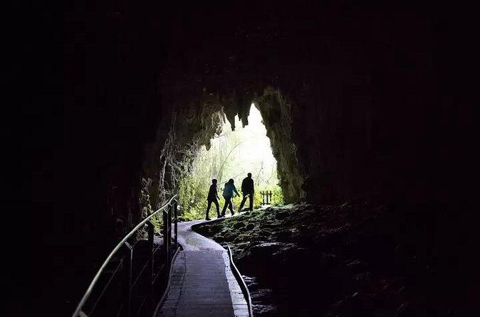 From Hamilton: Waitomo Glowworm & Cave Explorer Small Group Tour - The Sum Up: Who This Tour Best Serves