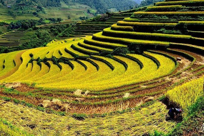 From Hanoi: 2-Day Overnight Sapa Tour by Luxury Van Limousine - Final Thoughts