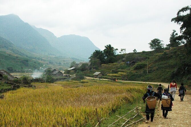 From Hanoi: 2-Day Sa Pa Homestay Trekking Tour by Cabin Bus - Authentic Experiences That Matter