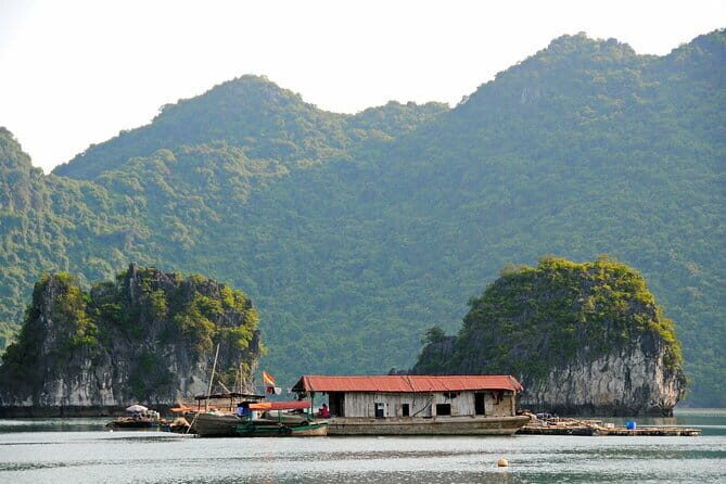 From Hanoi: 2 Days 1 Night Cat Ba National Park, Lan Ha Bay - An In-Depth Look at the Tour