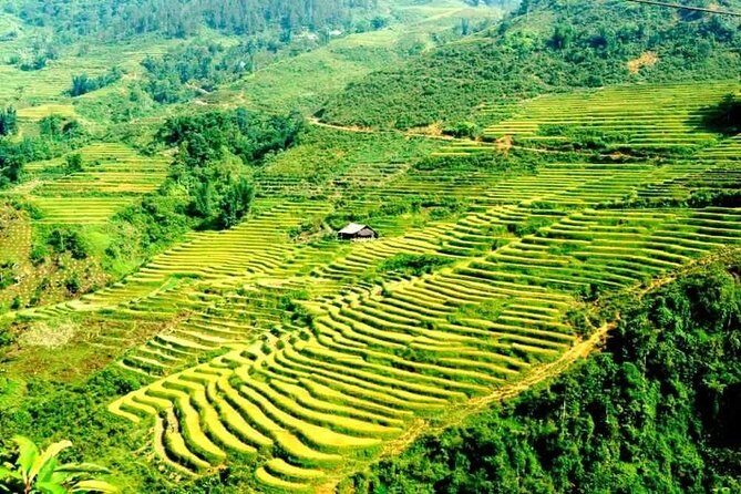 From Hanoi: 3-Days Sapa Trekking and Bus Tour from Hanoi - Who is This Tour Best For?