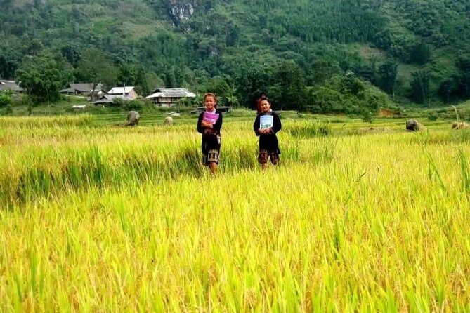 From Hanoi: 3-Days Sapa Trekking and Bus Tour from Hanoi - Frequently Asked Questions