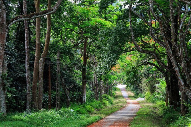 From Hanoi: Cuc Phuong National Park Day Trip by Private Car - A Closer Look at the Tour Experience