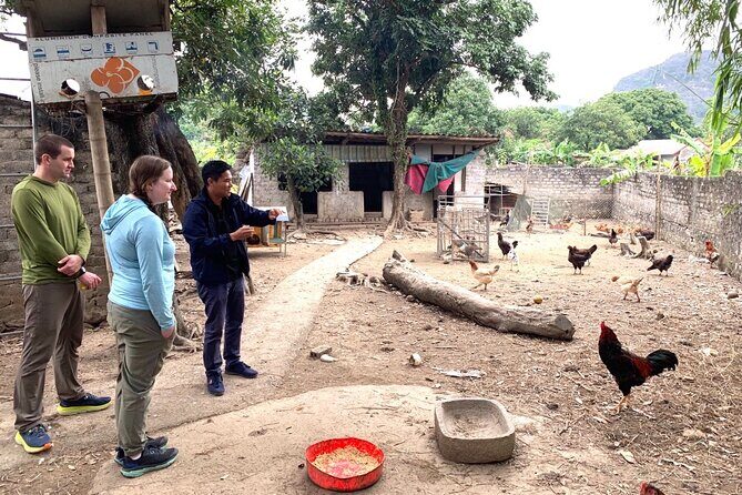 From Hanoi : Group of 9 Guided Tour Mua Cave Tam Coc Hoa Lu - The Value of This Tour