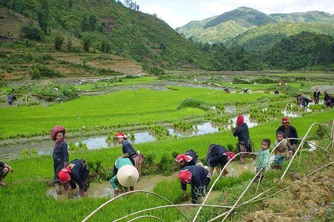 From Hanoi: Sapa Real Experience 2-Day 1 Night at Ethnic Homestay - Exploring Sapa and the Villages