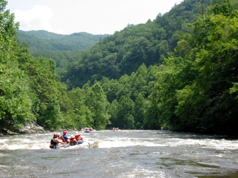 From Hartford: Upper Pigeon River White Water Rafting Tour - Why This Tour Offers Good Value