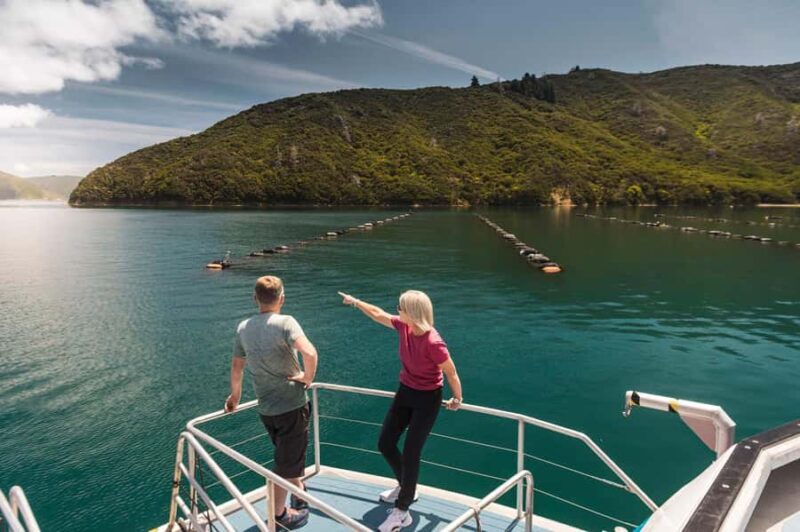 From Havelock: Marlborough Sounds Mail Boat Full-Day Cruise - Final Thoughts