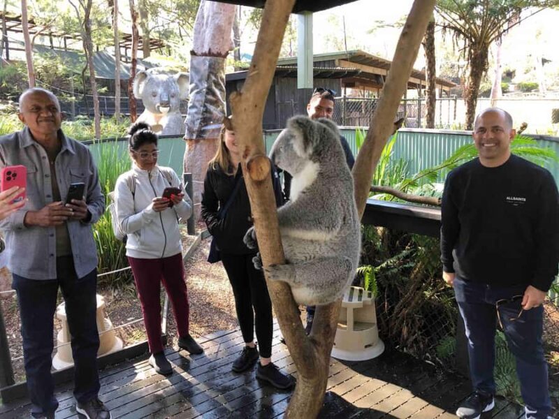 From Haymarket: Hunter Valley Wine and Wildlife Day Trip - Exploring the Hunter Valley: What to Expect