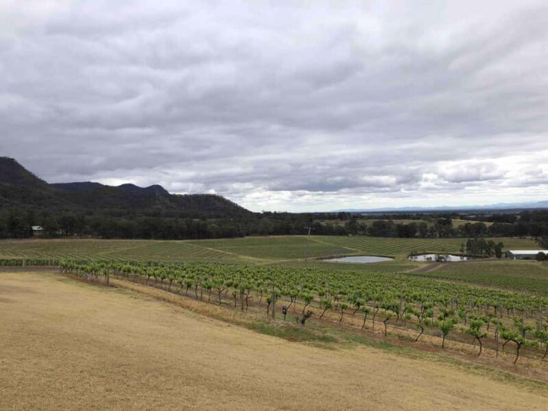 From Haymarket: Hunter Valley Wine and Wildlife Day Trip - Frequently Asked Questions