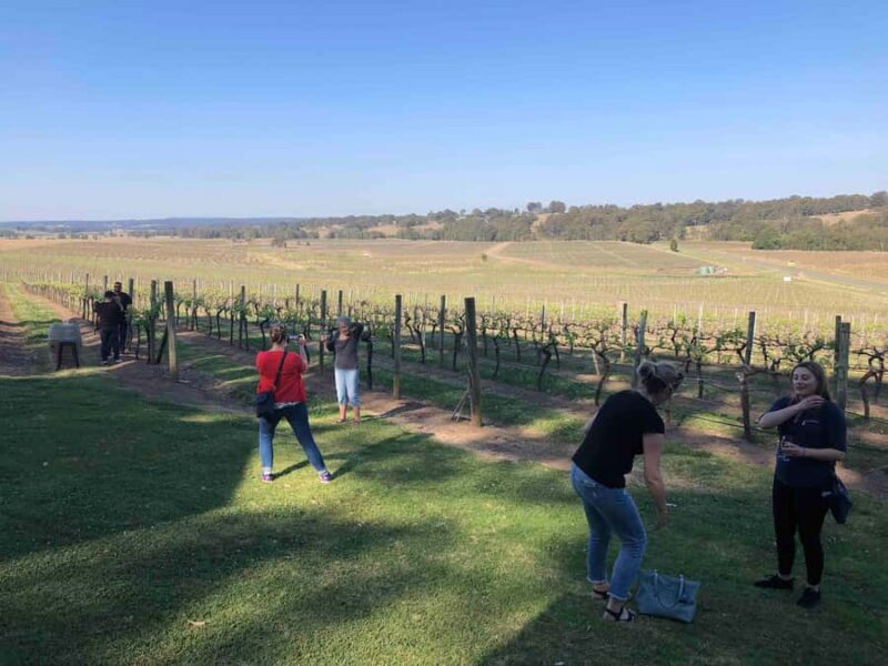From Haymarket: Hunter Valley Wine and Wildlife Day Trip - Final Thoughts