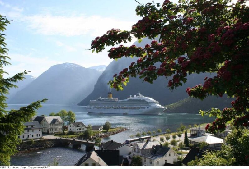 From Hellesylt: The Best of Geiranger Shore Excursion - Key Points