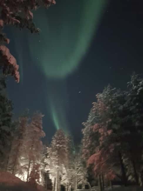 From Helsinki: Guided Forest Walk in the dark with campfire - An In-Depth Look at the Guided Forest Walk in Tuusula