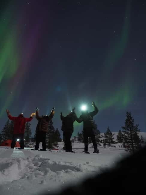 From Helsinki: Guided Forest Walk in the dark with campfire - The Sum Up