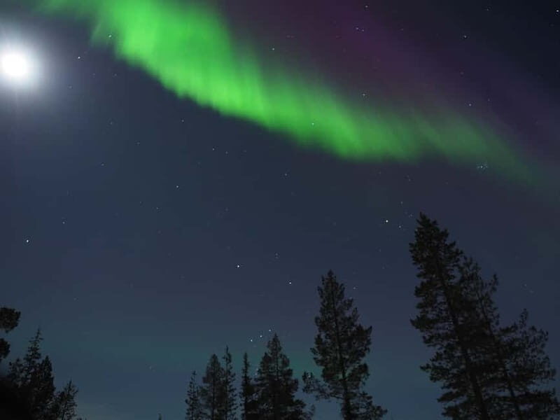 From Helsinki: Guided Forest Walk in the dark with campfire - FAQ