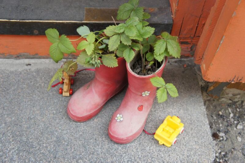 From Helsinki: Luxury Trip to Tallinn Ferry +VIP Car+ Lunch - Frequently Asked Questions