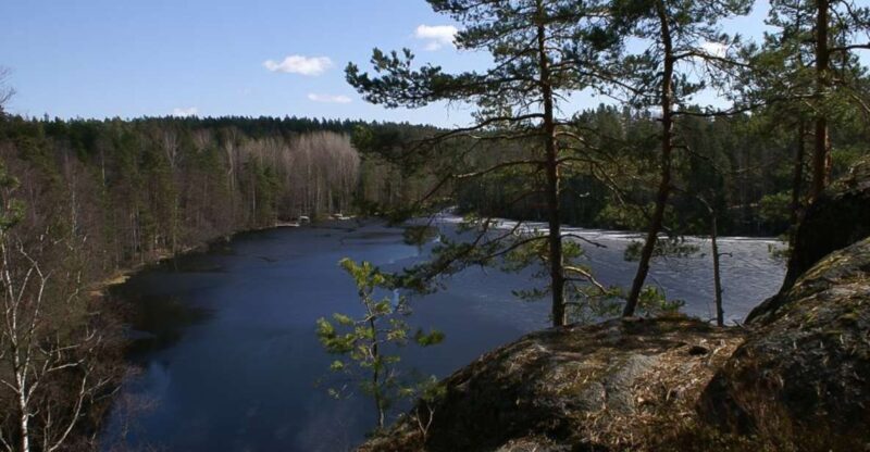 From Helsinki: Nuuksio National Park Half-Day Trip - A Close Look at Nuuksio: Finland’s Green Wonderland