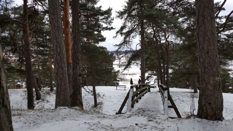 From Helsinki: Porvoo Guided Day Trip with Transportation - The Guide Experience