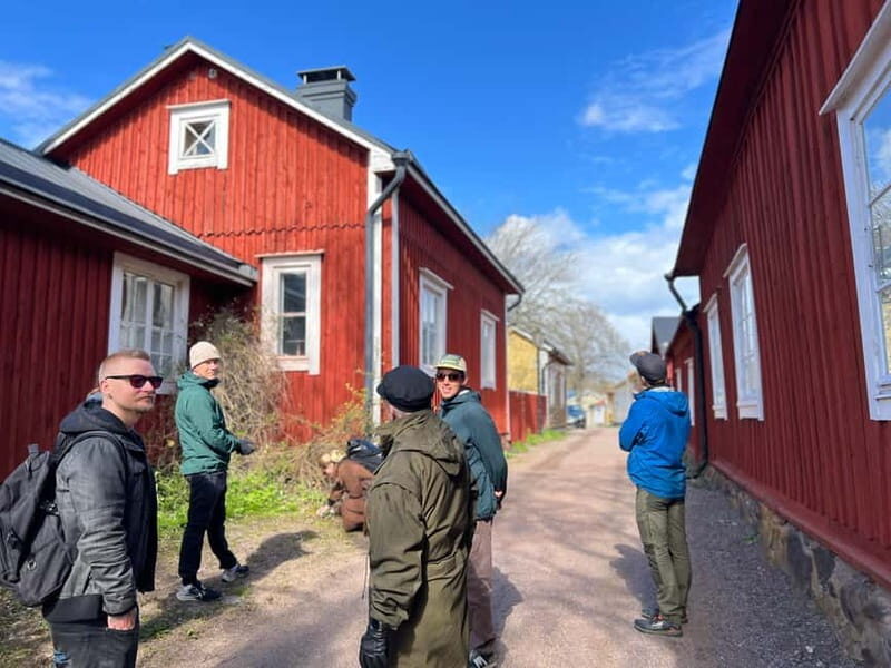 From Helsinki: Raasepori Castle Ruins & Ekenäs Old Town - Practical Tips and Insights