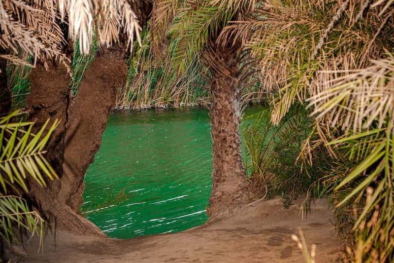 From Herakleion: Day Trip to Preveli Palm River Beach - Authentic Experiences and Honest Feedback from Travelers