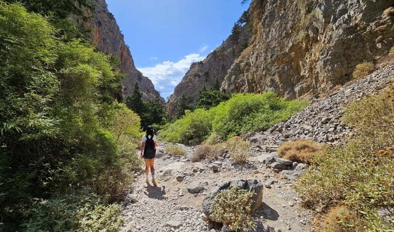 From Heraklion: Imbros Gorge Private Tour - The Sum Up