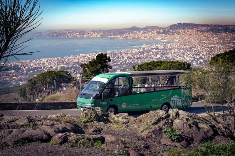 From Herculaneum : Panoramic Open tour Destination Vesuvio - What Travelers Say: Authentic Perspectives