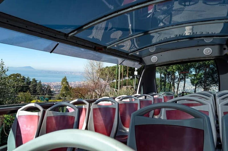 From Herculaneum : Panoramic Open tour Destination Vesuvio - Practical Details & Tips for the Tour