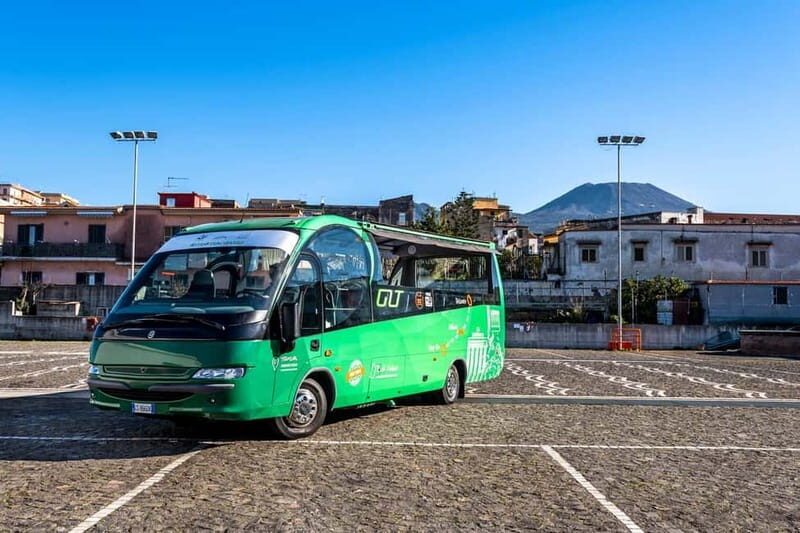 From Herculaneum : Panoramic Open tour Destination Vesuvio - Who Is This Tour Best For?