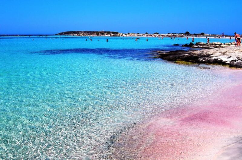 From Hersonissos: Elafonisi Pink Beach Day Trip in Crete - What to Expect from the Trip