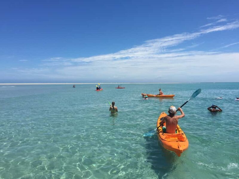 From Hervey Bay: Half-Day K'gari Fraser Island Beach Cruise - Key Points