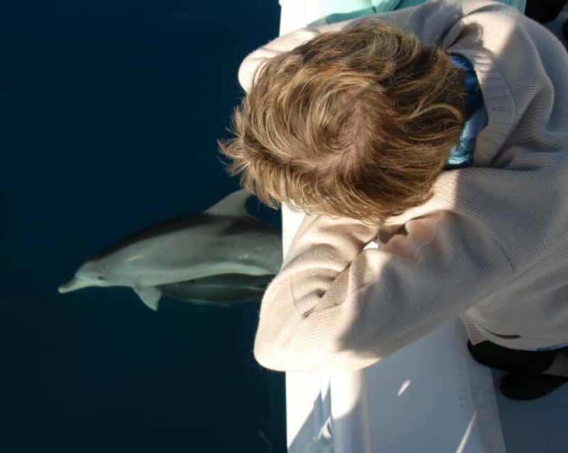 From Hervey Bay: Half-Day K'gari Fraser Island Beach Cruise - Authentic Experiences from Travelers