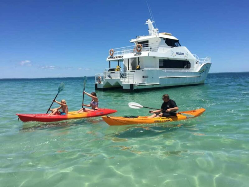From Hervey Bay: Half-Day K'gari Fraser Island Beach Cruise - Why This Tour Works