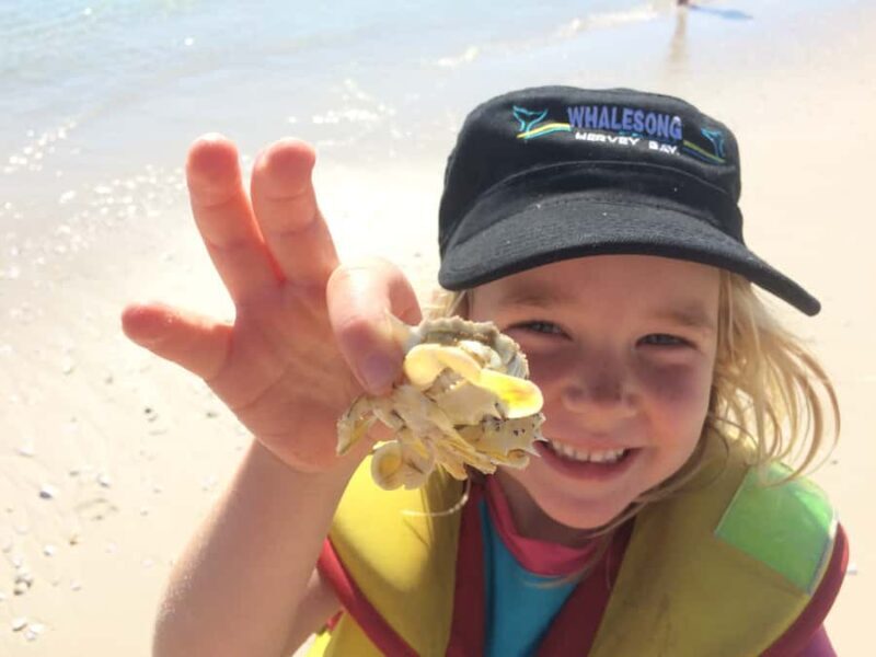 From Hervey Bay: Half-Day K'gari Fraser Island Beach Cruise - FAQs