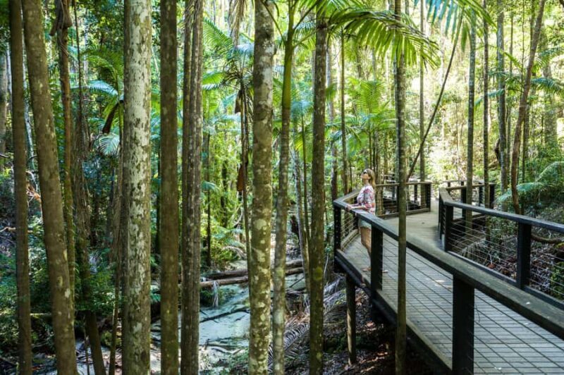 From Hervey Bay: K'gari, Fraser Island Two-Day Coach Tour - An In-Depth Look at the Fraser Island Two-Day Coach Tour