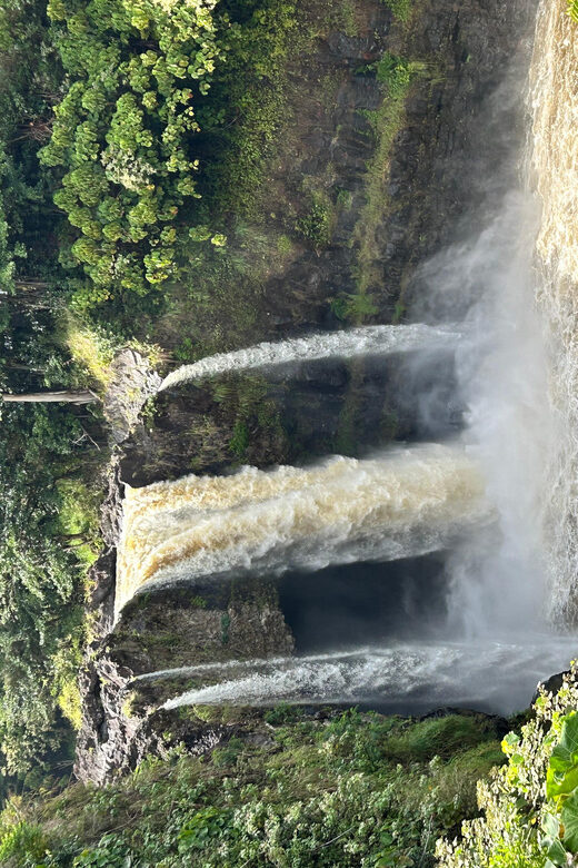 From Hilo: Hawaii Volcanoes National Park Tour - Authentic Experiences That Stand Out