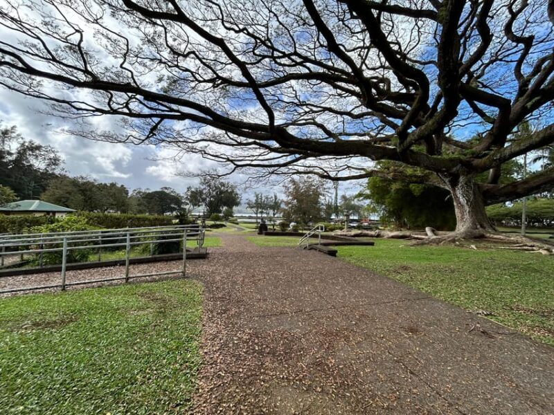 From Hilo: Hawaii Volcanoes National Park Tour - Key Points