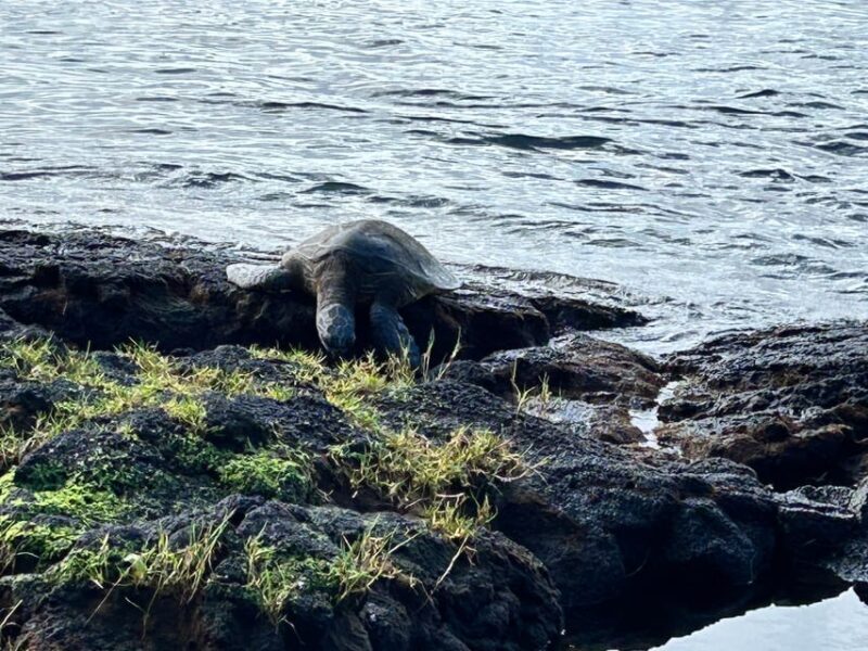 From Hilo: Hawaii Volcanoes National Park Tour - FAQ