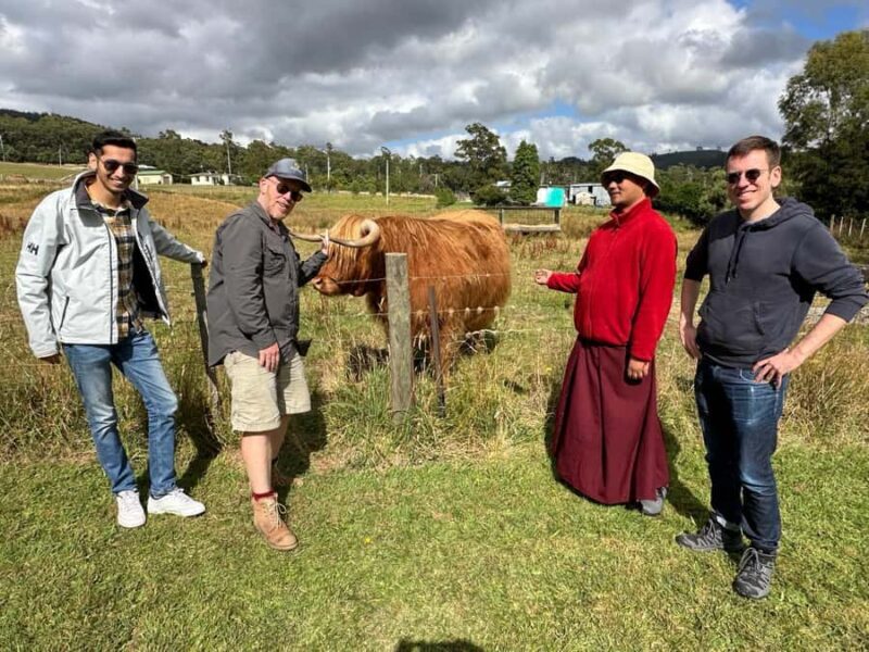 From Hobart: Active Day Trip to Cradle Mountain - Final Thoughts