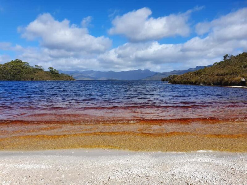 From Hobart: Gordon Dam and Lake Pedder Wilderness Day Tour - Who Would Love This Tour?