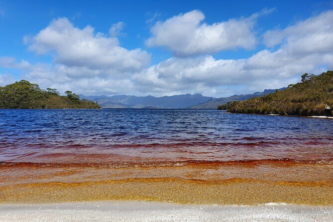 From Hobart: Gordon Dam and Lake Pedder Wilderness Day Tour - An In-Depth Look at the Tour