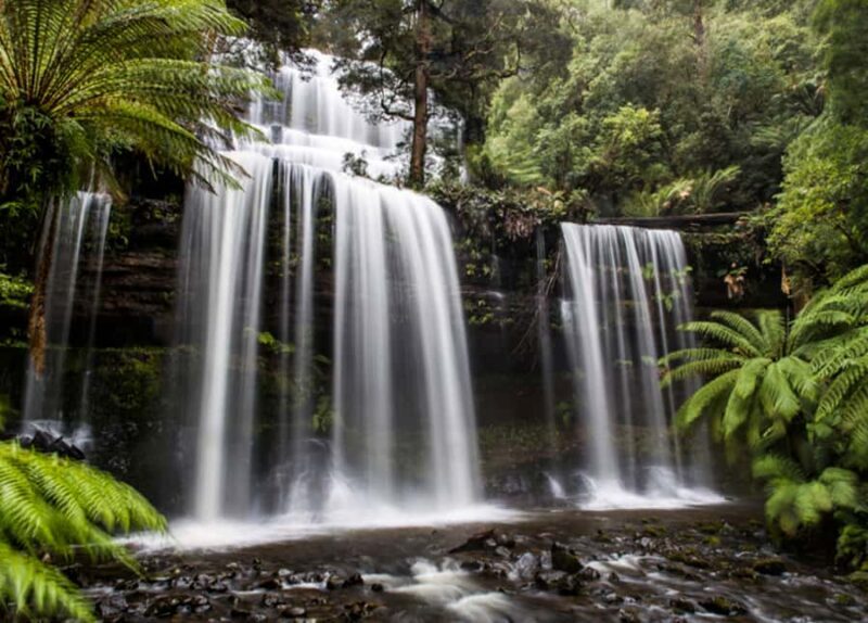From Hobart: Mt. Field National Park and Russell Falls - A Closer Look at the Itinerary and Experiences