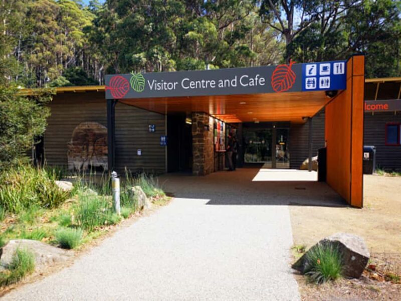 From Hobart: Mt. Field National Park and Russell Falls - What You’ll Love