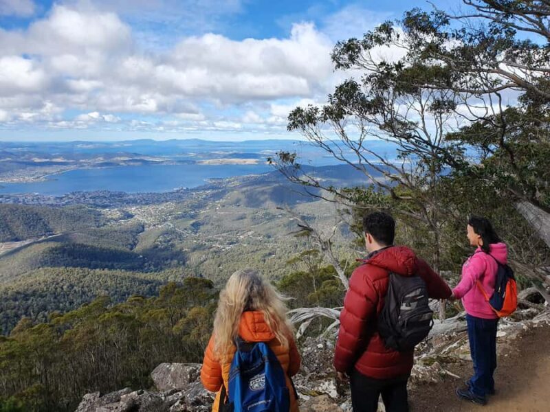 From Hobart: Mt Wellington Morning Walking Tour - Reaching the Summit