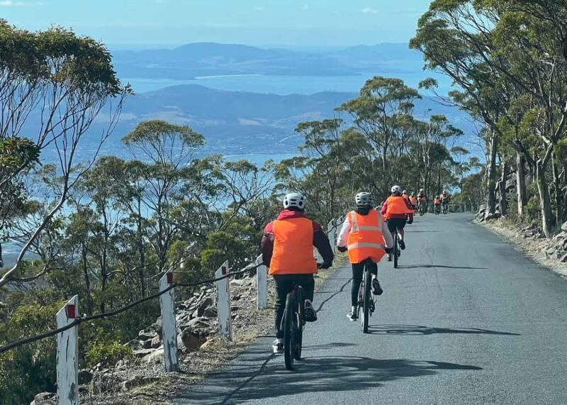 From Hobart: Mt Wellington Summit & Rainforest Bike Tour - Key Points