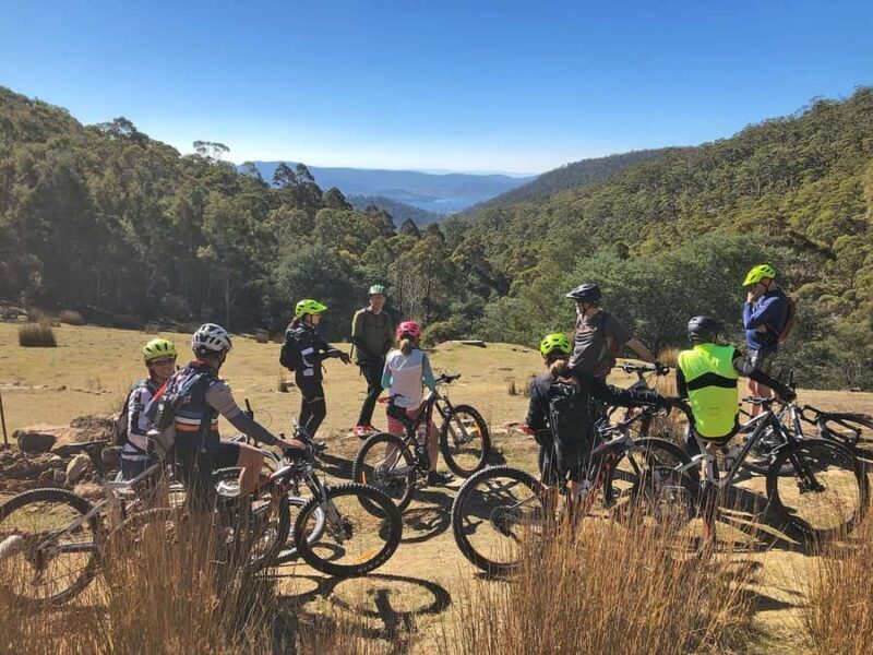 From Hobart: Mt Wellington Summit & Rainforest Bike Tour - Itinerary Breakdown: What to Expect