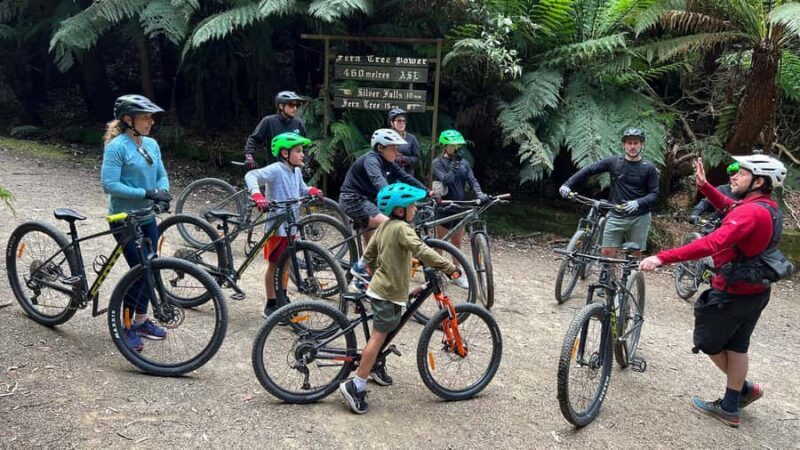 From Hobart: Mt Wellington Summit & Rainforest Bike Tour - What Sets This Tour Apart