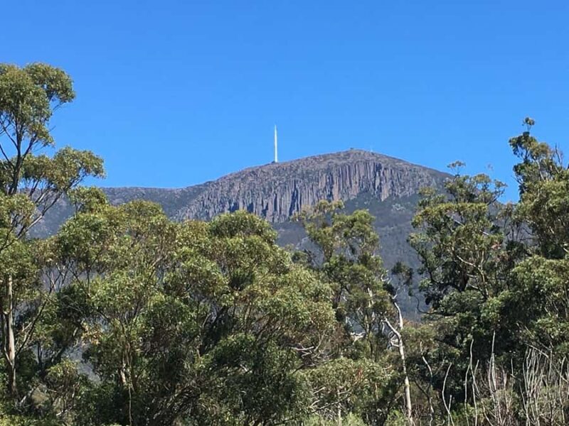 From Hobart: Mt Wellington Summit & Rainforest Bike Tour - The Value for Money