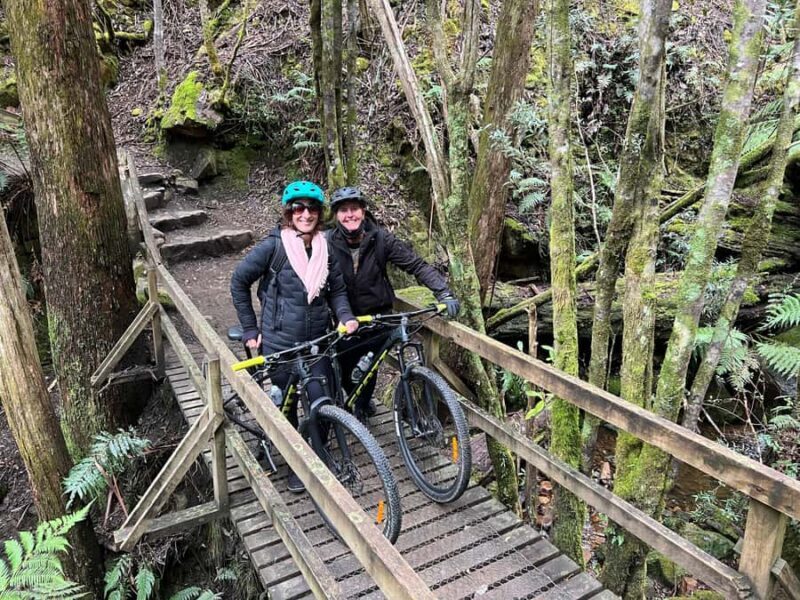 From Hobart: Mt Wellington Summit & Rainforest Bike Tour - Who Should Consider This Tour?